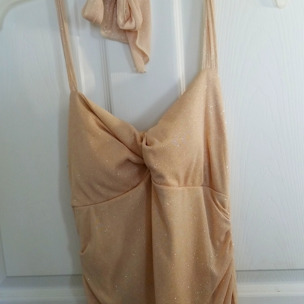 Beautiful Dress! Large-Never worn!